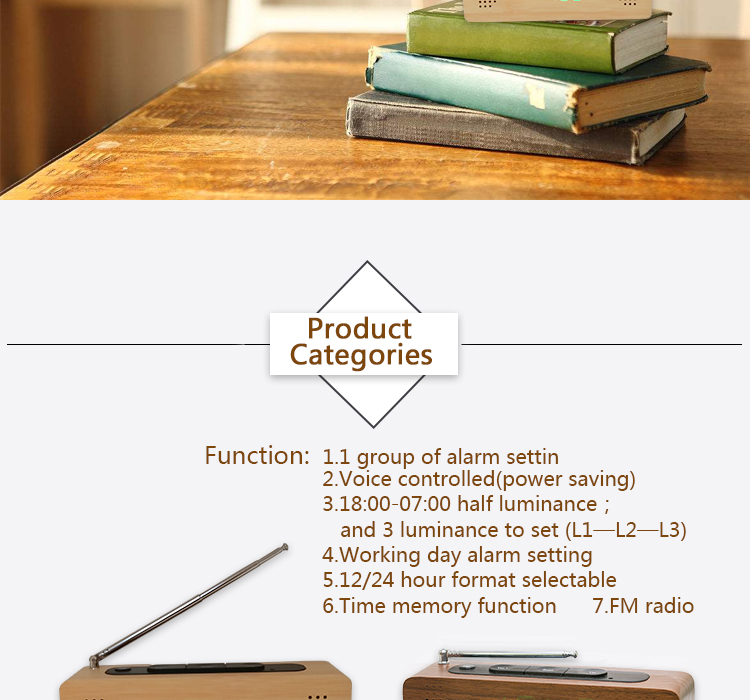 digital clock with fm radio