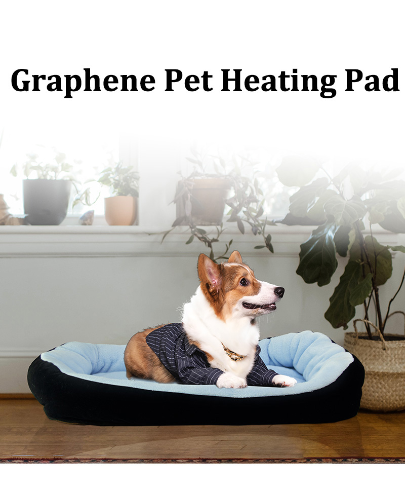luxury dog bed