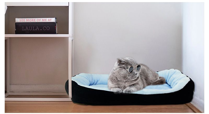 pet bed
