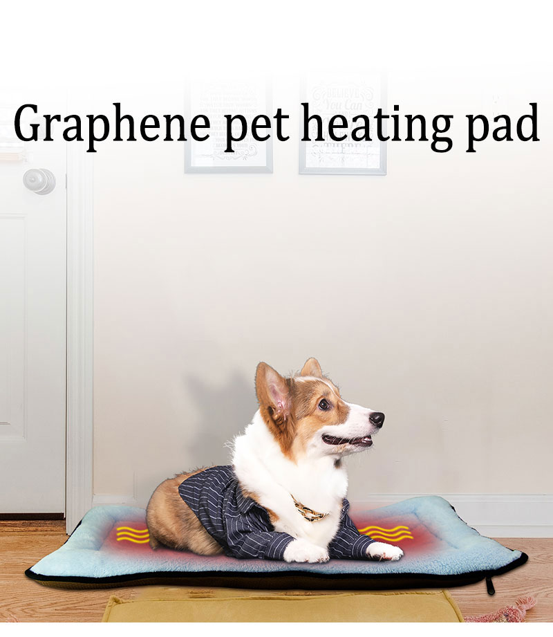 dog bed