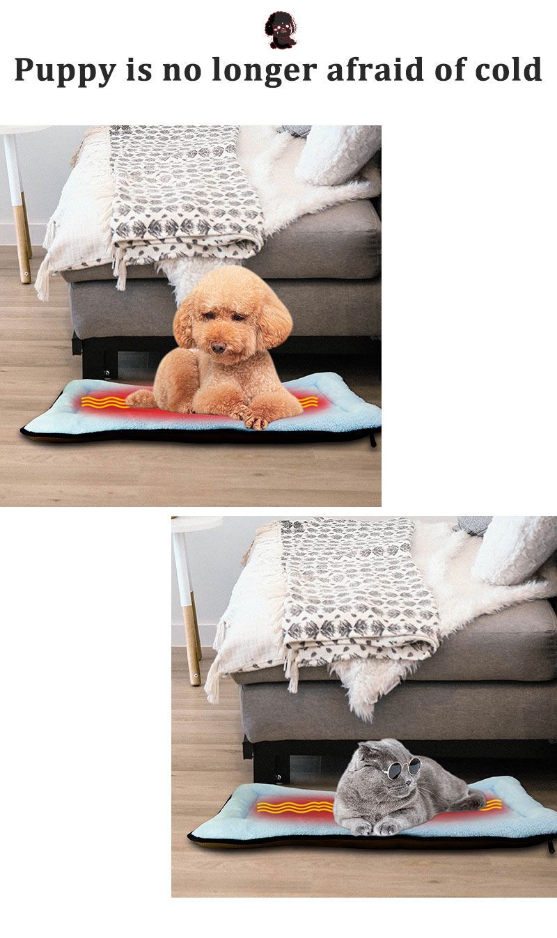 dog bed