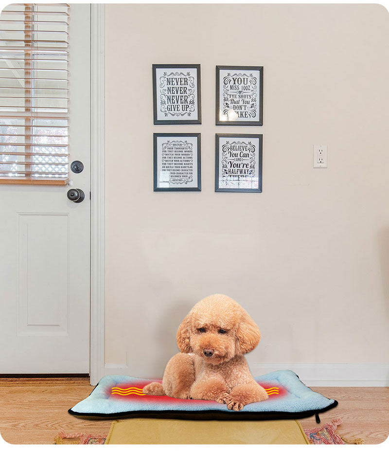 dog beds eco friendly
