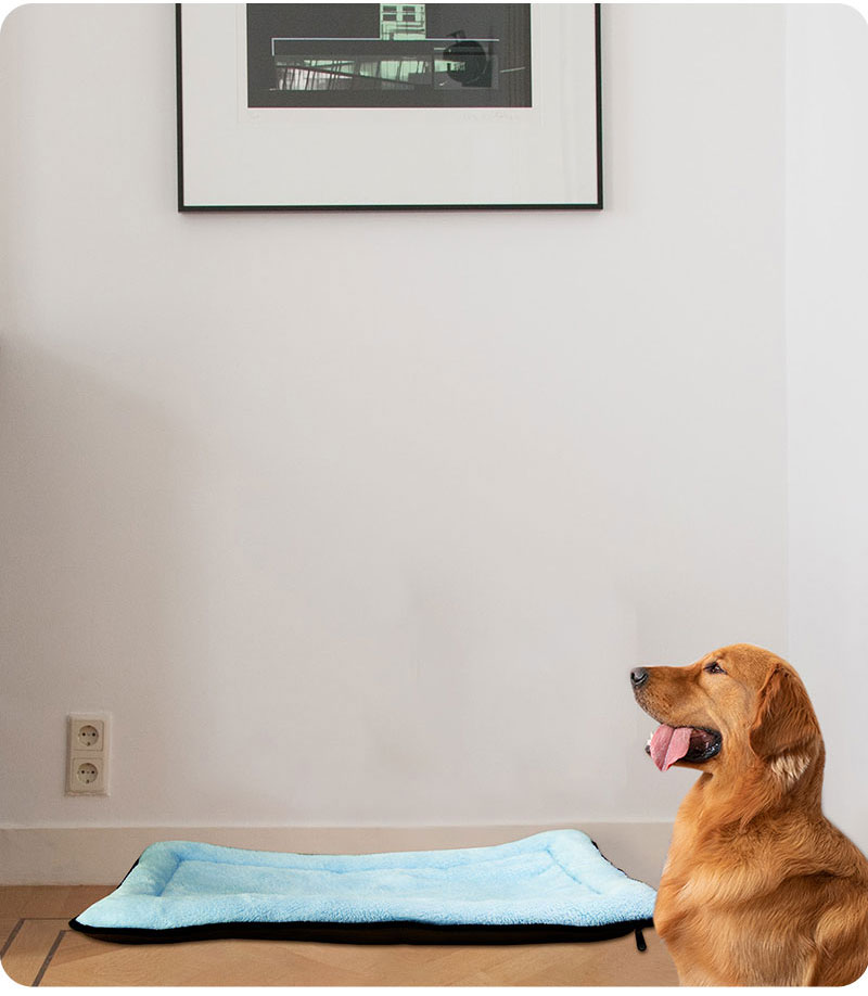 dog beds eco friendly