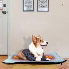 Graphene heating pet pad