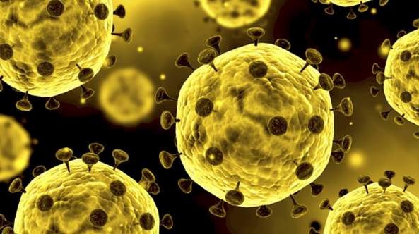 How to distinguish between cold, flu and COVID-19?