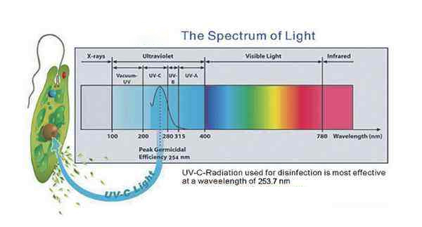 Can ultraviolet rays kill COVID-19 virus?